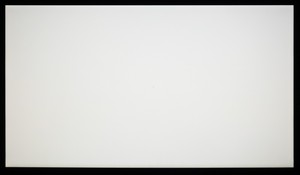132_ravn_white2.jpg