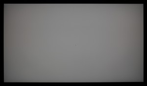 126_ravn_gray2.jpg