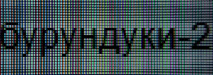 105_text3.jpg