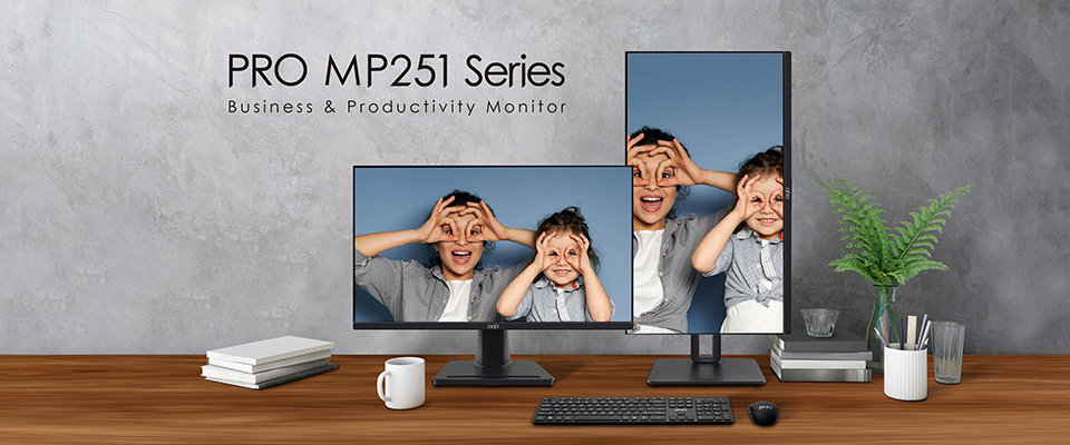 MSI Pro MP251P
