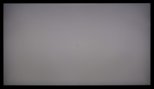 111_ravn_gray1.jpg