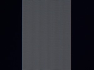 106_shim100.jpg
