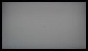 107_ravn_gray2.jpg