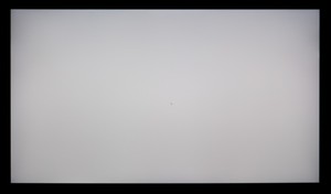 104_ravn_gray1.jpg