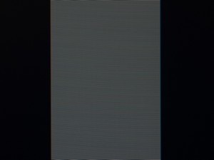 105_shim100.jpg