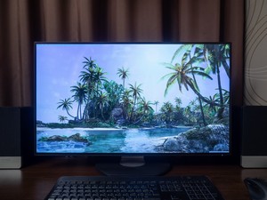 111_vid1.jpg