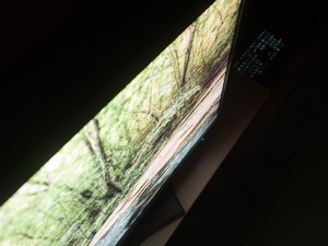 147_glow1.jpg