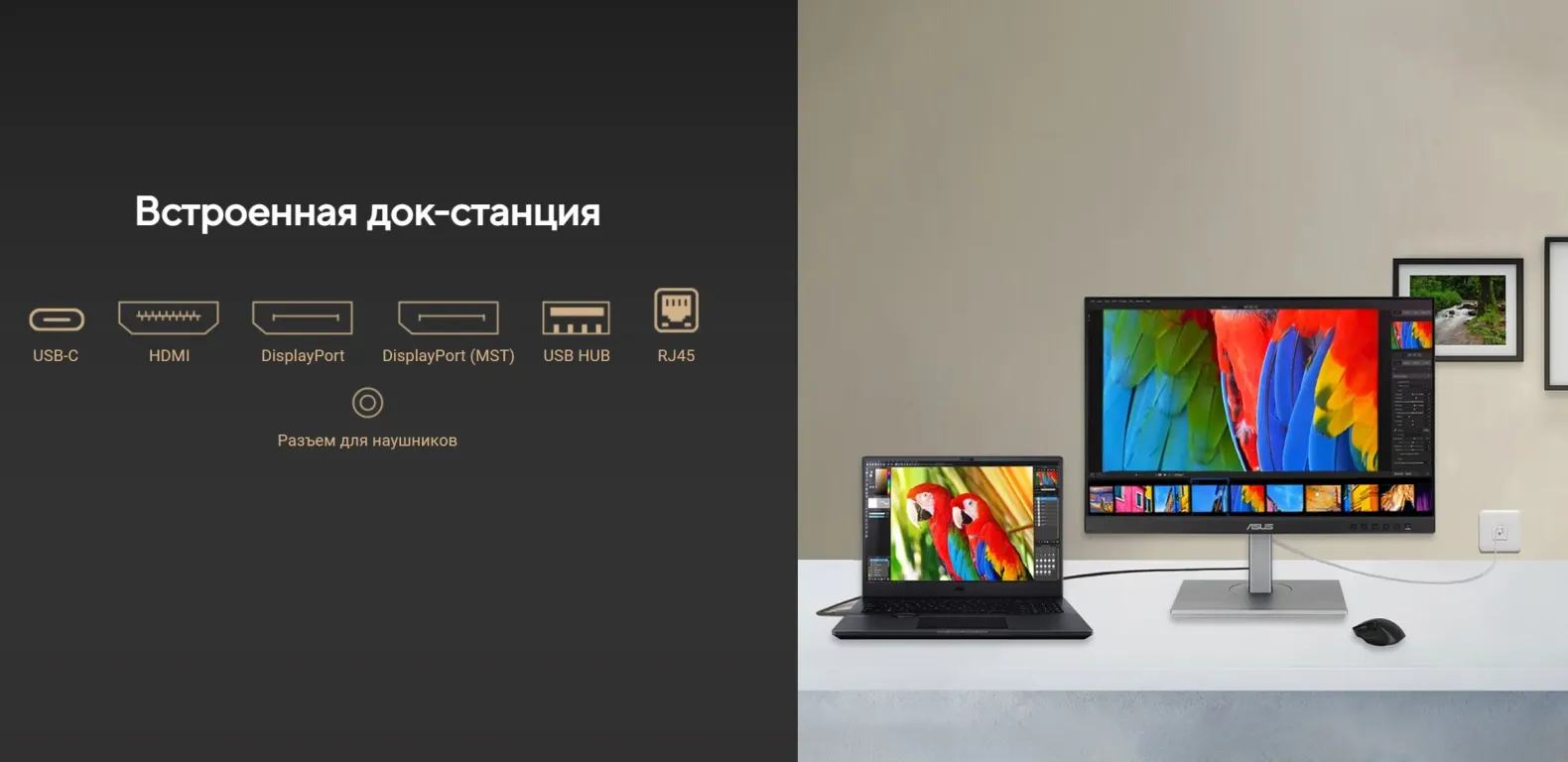 ASUS ProArt PA248CNV