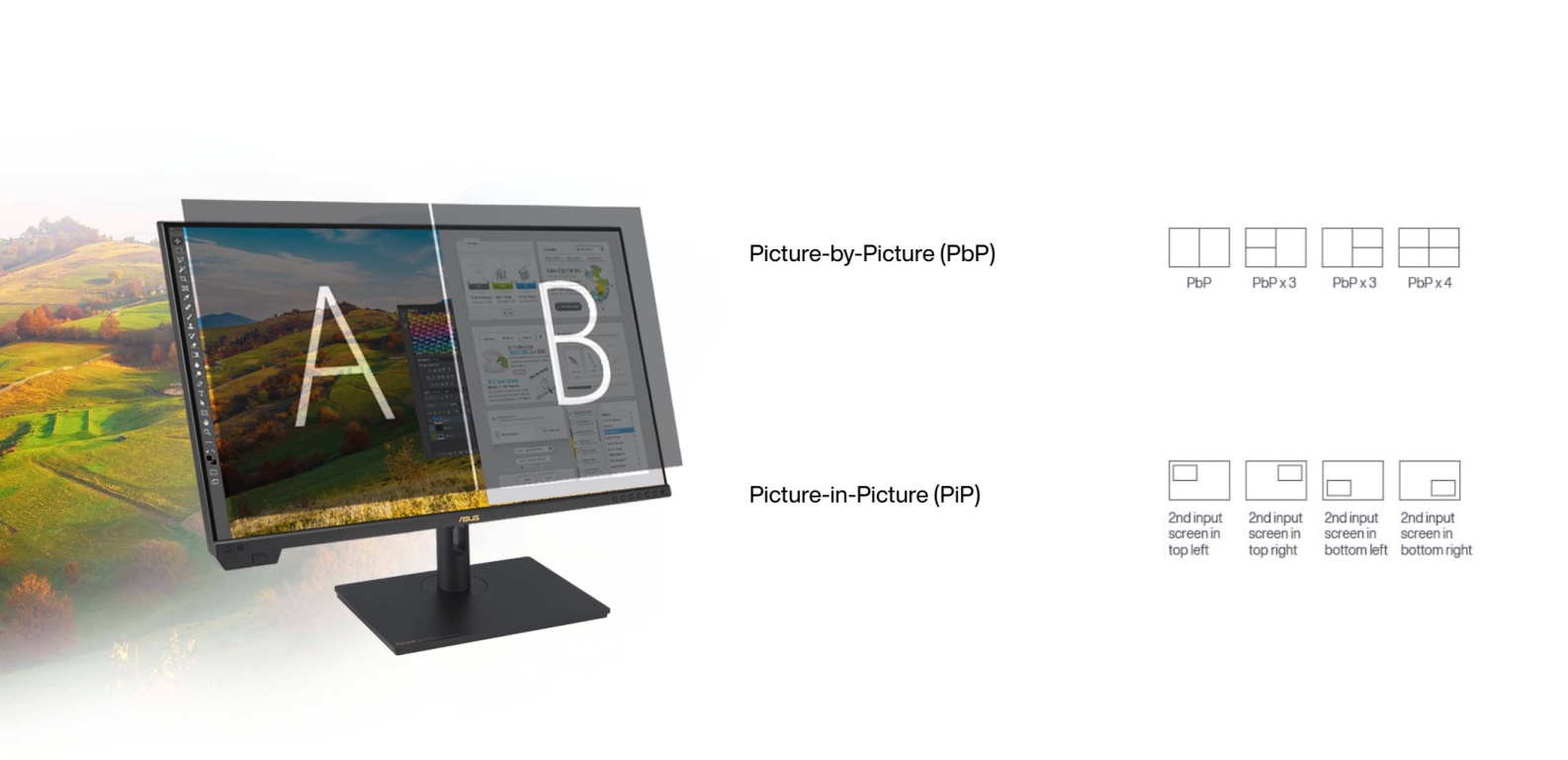 Монитор ASUS ProArt PA32UCXR