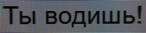126_text3.jpg