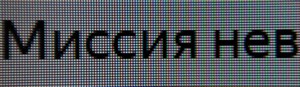 111_text2.jpg