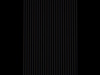 104_shim10.jpg
