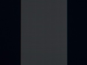 129_shim100.jpg