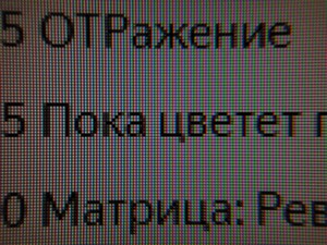 137_text2.jpg
