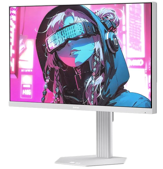 Компания SANC представила игровой монитор S63 M2565