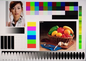 51_color_srgb.jpg