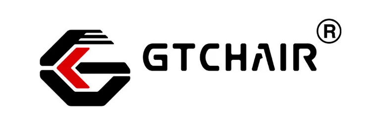 Компьютерное кресло GT Chair VIDA Z