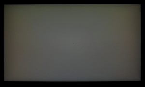 110_ravn_gray3.jpg