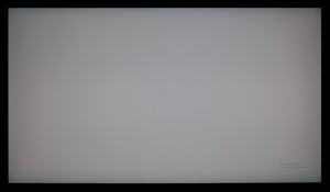 66_ravn_gray2.jpg