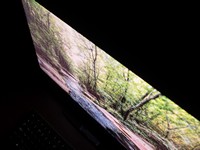 119_glowc2.jpg