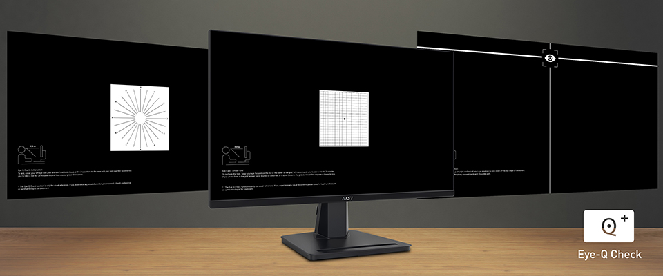 MSI Pro MP251P