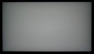 104_ravn_gray2.jpg