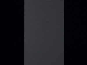 119_shim100.jpg
