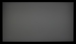 100_ravn_gray3.jpg