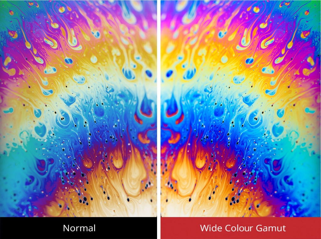 03_88-NTSCColor.jpg