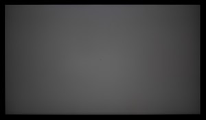 100_ravn_gray3.jpg