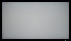 113_ravn_gray1.jpg