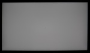 97_ravn_gray2.jpg