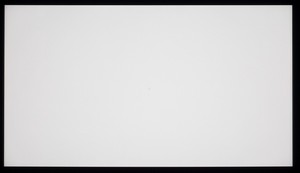125_ravn_white2.jpg