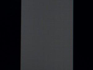 108_shim100.jpg