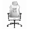 Компьютерное кресло DXRacer CRA/DXL5000/THINKER - фото 1