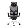 Премиум эргономичное кресло GT Chair Isee X, черный (GTC-ISEE-X-BK) - фото 1