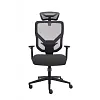 Премиум эргономичное кресло GT Chair VIDA Z, черный (GTC-VIDA-Z-BK) - фото 2