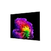 4K телевизор LG OLED77G6RLA - фото 4