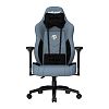 Компьютерное кресло AndaSeat T Compact (AD19-01-SB-F) - фото 1