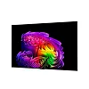 4K телевизор LG OLED55G6RLA - фото 5