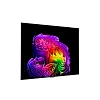 4K телевизор LG OLED77G6RLA - фото 3