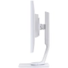Full HD монитор iiyama ProLite XUB2492HSU-W1 - фото 4