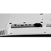 DWQHD монитор LG 49WQ95C-W - фото 6