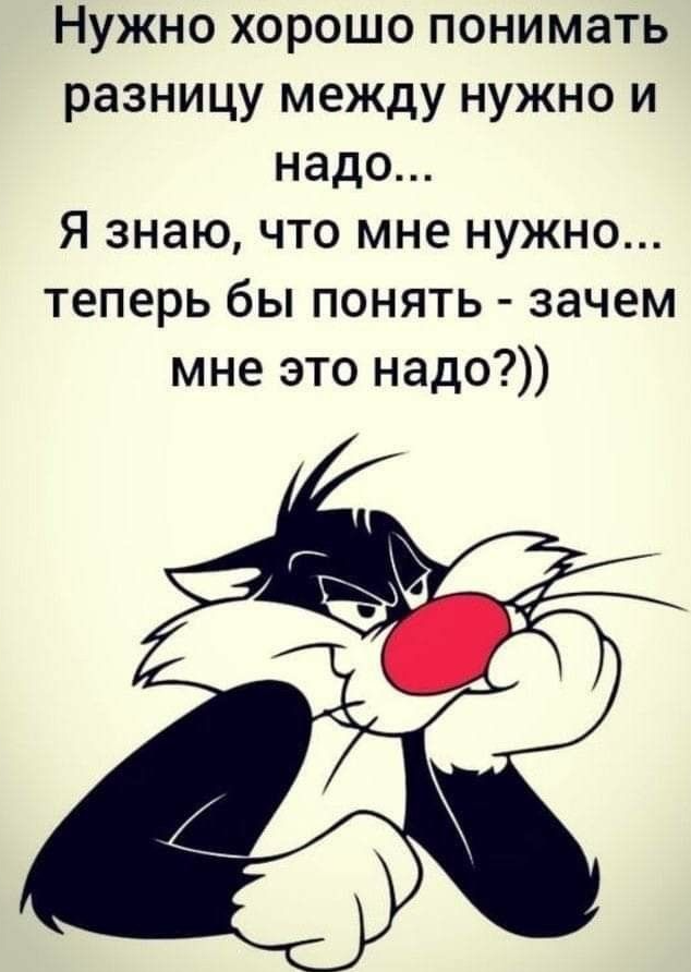 Выбор монитора для профессиональных задач. Лучшие решения и правильный подход